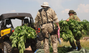 Classifying Marijuana Same as Tobacco: A Look at Colorado