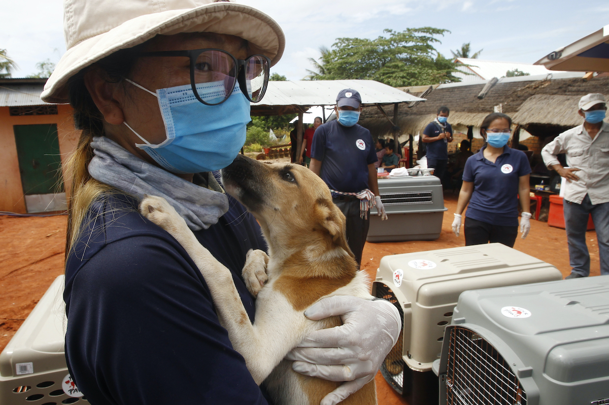 Epoch Times Photo