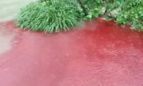 China In Focus (Aug. 17): Chinese River Tainted, Turned Blood Red