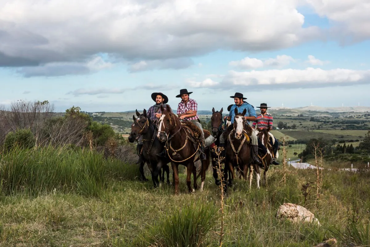 Gauchos ride from one cattle pasture to another, along the road to Minas, Uruguay. (Ksenia Ragozina/Shutterstock)