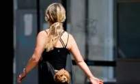 Sydney Police Bust Online Puppy Scam
