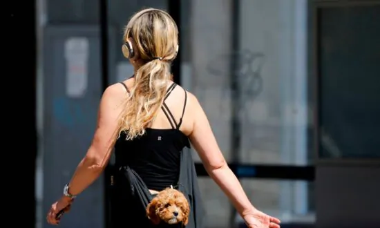 Sydney Police Bust Online Puppy Scam