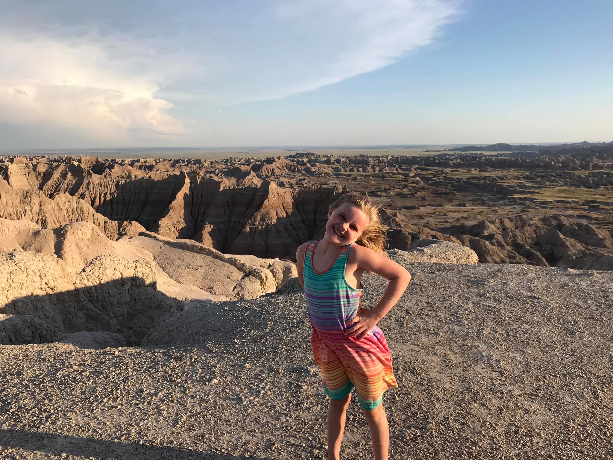 Taylor-001-The Badlands