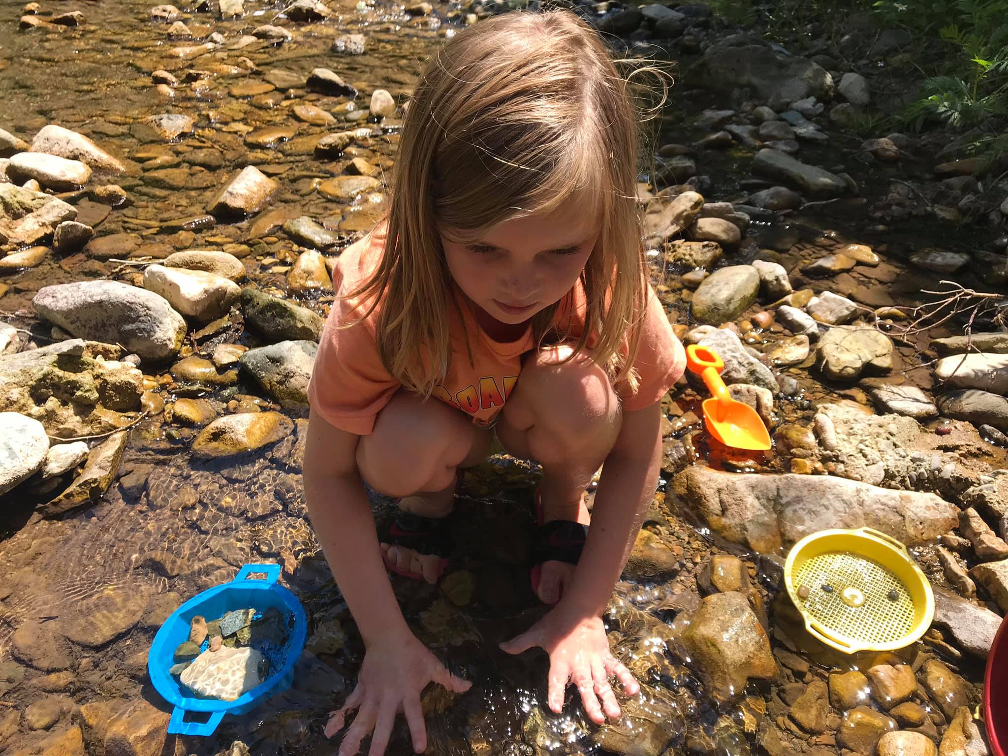 Taylor-005-Spearfish Canyon