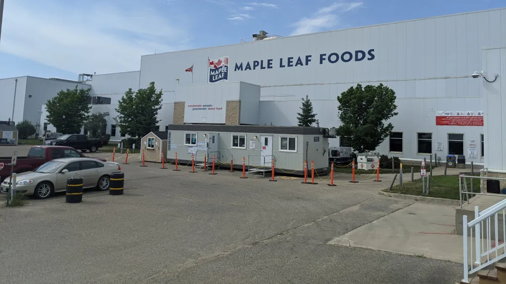The Maple Leaf Foods plant in Brandon, Man., in August 2020. (Ho - Maple Leaf Foods/The Canadian Press)