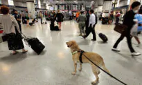 Police K9s Trained to Sniff Out Devices: a Game Changer Catching Child Porn Offenders