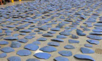 1,400 Turtle Shell Pieces From Endangered Sea Turtles Seized in Illegal Trafficking Shipment