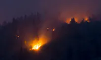 Additional Wildfire Evacuation Orders Issued in B.C. Because of Wildfires
