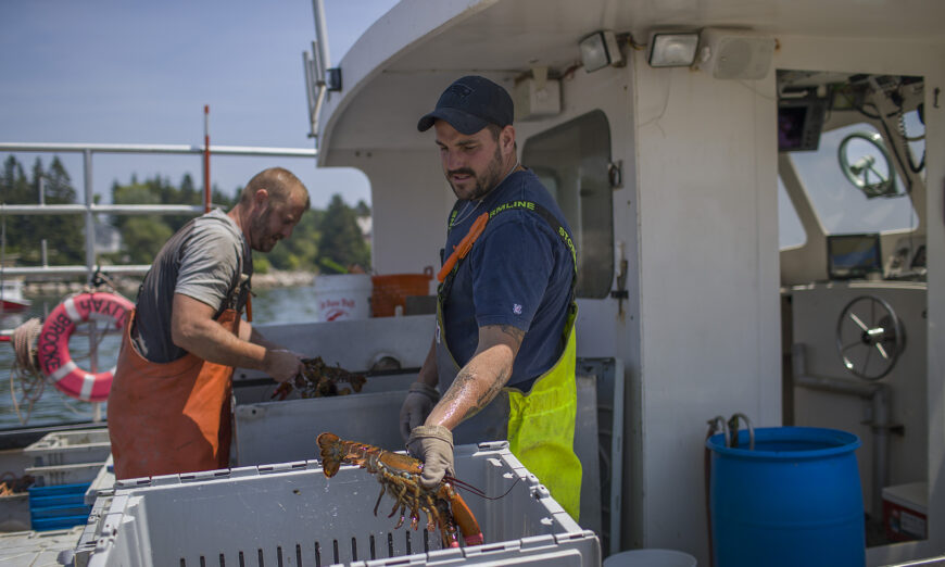 Maine lobstermen win big in whale protection case, thanks to Appeals Court.