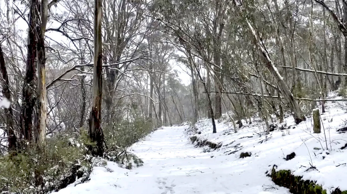 A view shows a snow-covered road in Oberon, New South Wales, Australia on Aug. 22, 2020, in this still image obtained from social media video. (Tracey Johns via Reuters)