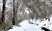 Antarctic Winds Trigger Rare Snowfall Across Southeast Australia