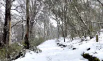 Antarctic Cold Set to Bring Icy and Dangerous Conditions for East Coast