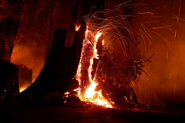 Epoch Times Photo