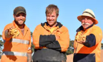 Two Giant Gold Nuggets Worth $250,000 Found in Australia