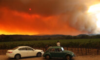 Trump Declares California Wildfires a Major Disaster