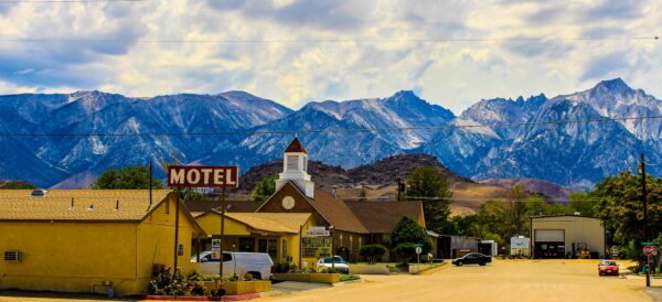 lone pine