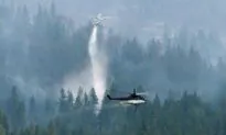 Evacuation Alert Lifted for Penticton as Wildfire Threat Subsides