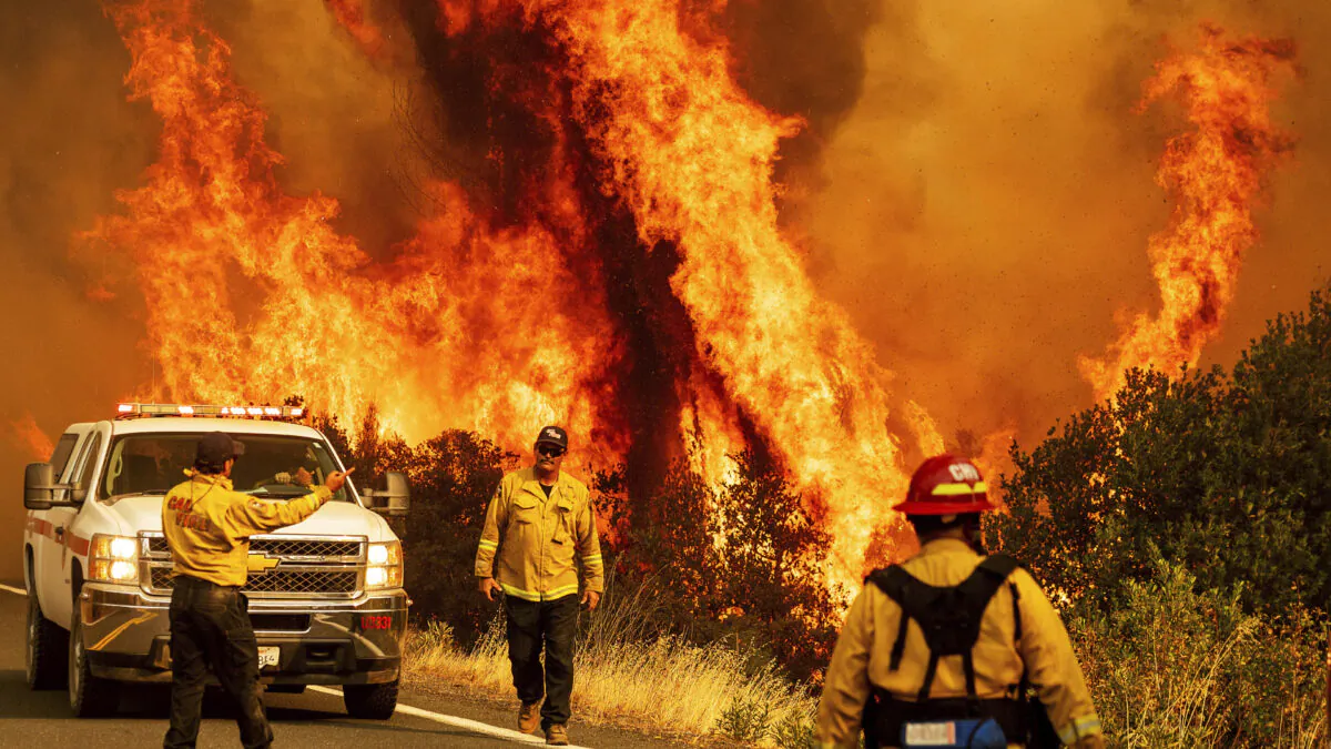Flames from the LNU Lightning Complex fires leap above Butts Canyon Road in Lake County, Calif. on Aug. 23, 2020. (Noah Berger/AP)