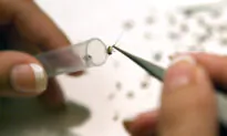 Torontonian Hit by West Nile Virus, First Case in Toronto This Year