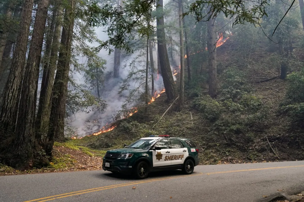 A police vehicle is seen under a forest being burned by the CZU August Lightning Complex Fire near in Bonny Doon, Calif., on Aug. 24, 2020 (Marcio Jose Sanchez/AP Photo)