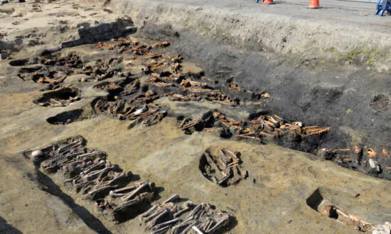 Remains Dug From Japan Mass Grave Suggest Epidemic in 1800s