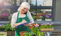 Older Americans Looking for Employment