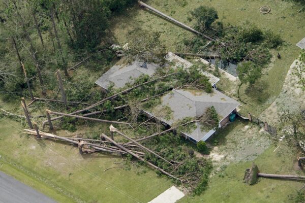 Blown down trees and debris