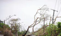 Child Among Dead After Wild Winds Lash Victoria State