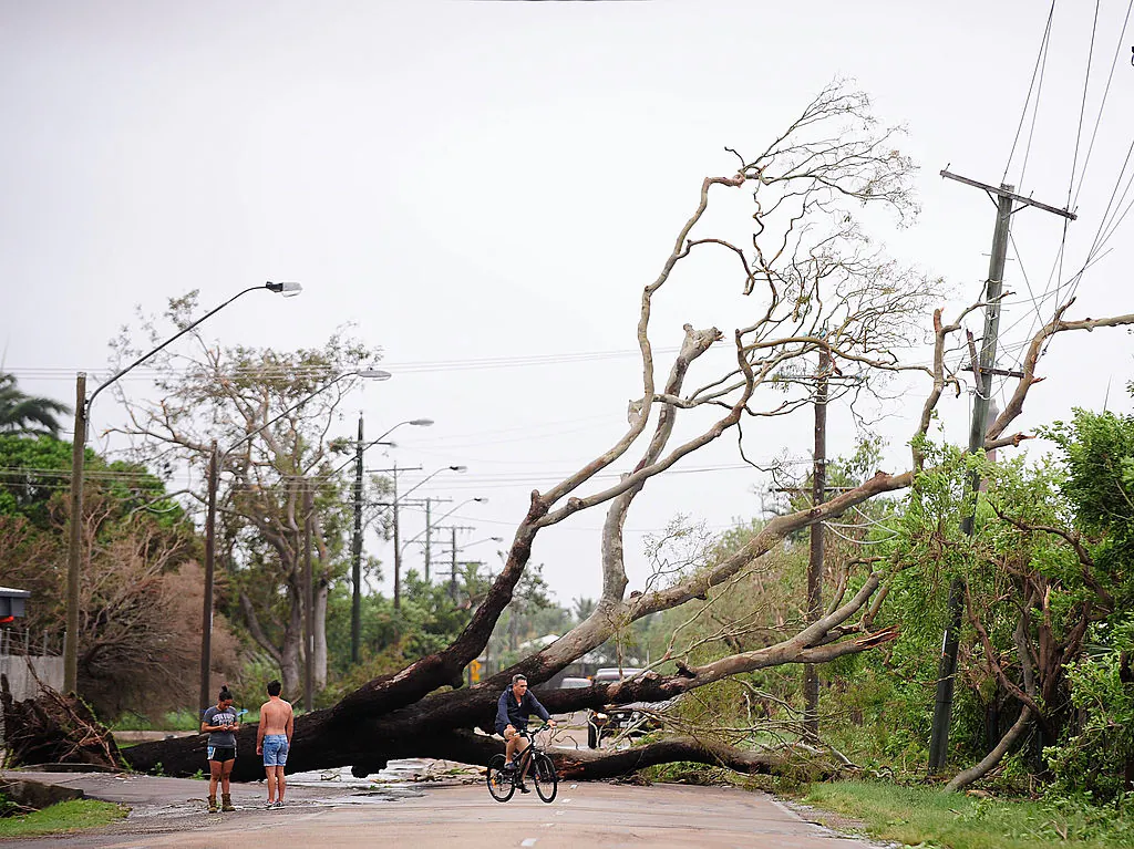 A fallen tree is seen laying across a street after the passing of Cyclone Yasi on February 3, 2011 in Townsville, Australia. (Ian Hitchcock/Getty Images)
