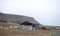 Man Killed by Polar Bear on Norway’s Arctic Svalbard Islands