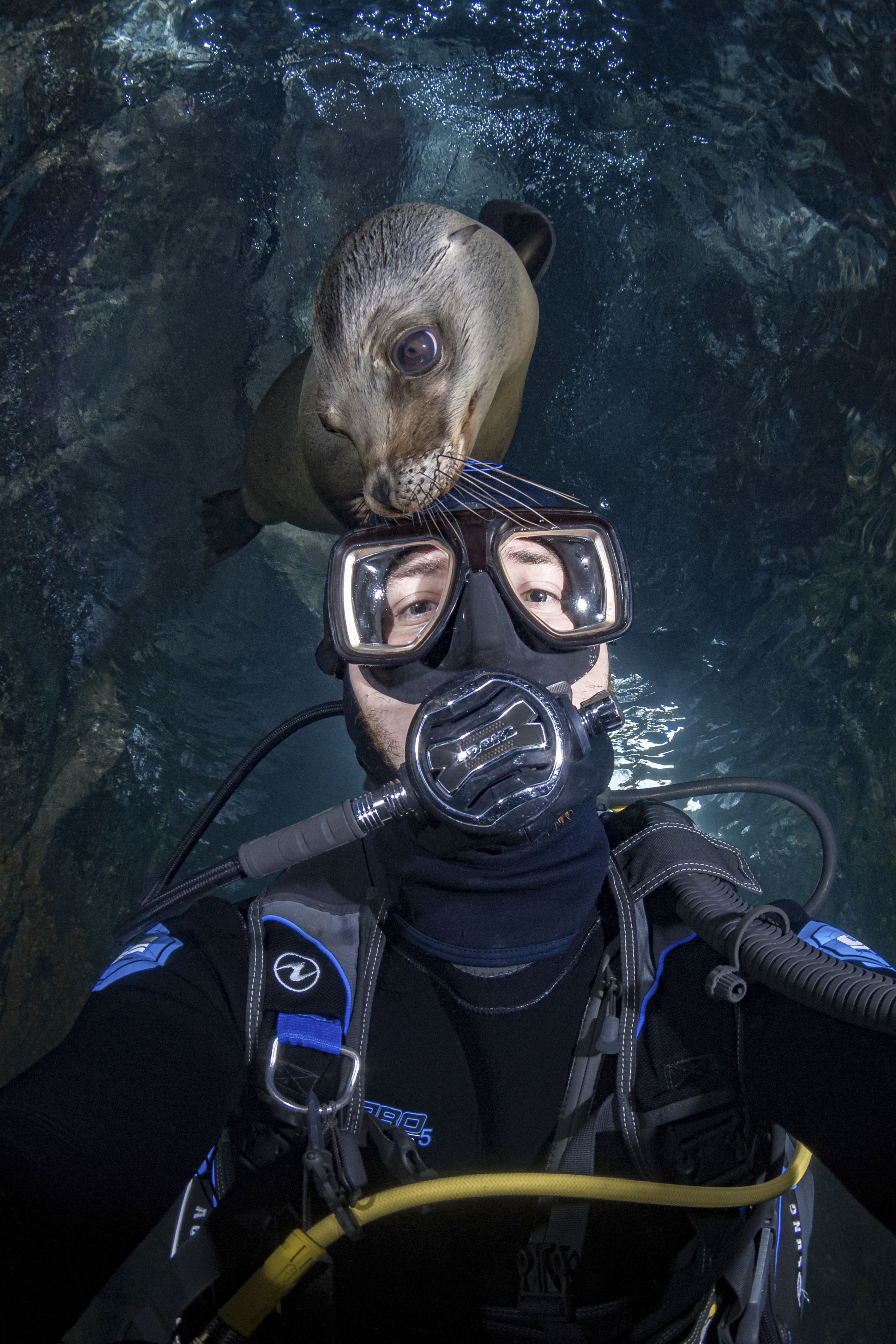 5 Of The Funniest Animal Photobombs That Will Brighten Your Day