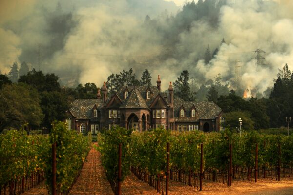 The Tubbs wildfire burns behind a winery in Santa Rosa