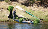 Watch Life Go By on the Nile River in Egypt