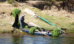 Watch Life Go By on the Nile River in Egypt