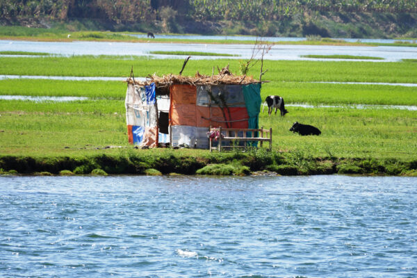 laundry near the nile river