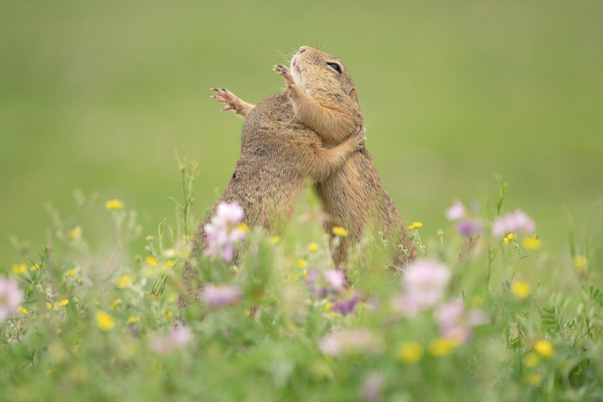 Epoch Times Photo
