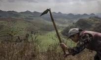 Chinese Villagers Struggle to Subsist After Being Forcibly Relocated by Authorities