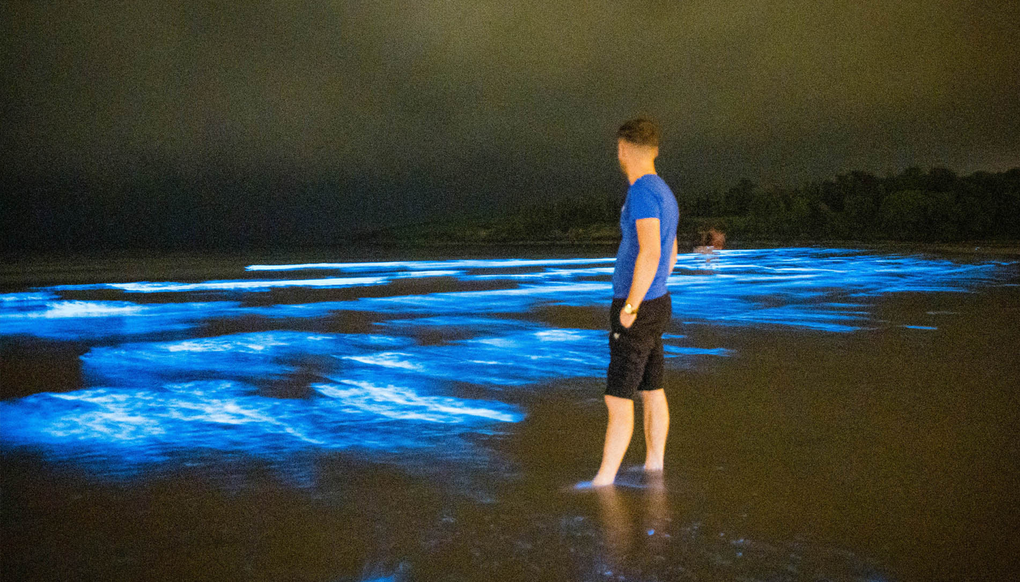 Sea Sparkle Rare Bioluminescence Lights Up The Waves At Irish Beach