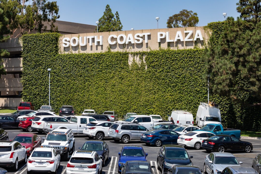 Black Friday Shopping Declines for the First Time