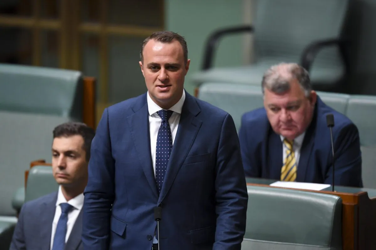 Liberal backbencher Tim Wilson makes a statement in the House of Representatives at Parliament House in Canberra, Australia on Feb. 21, 2019. AAP Image/Lukas Coch) 