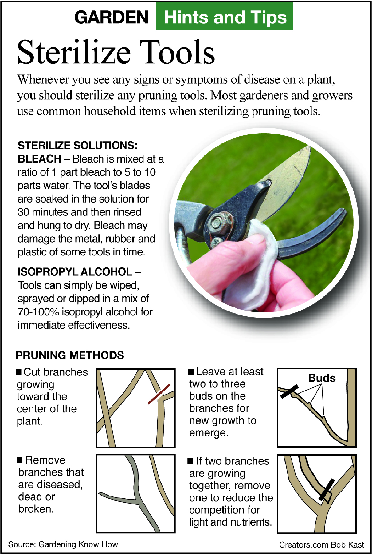 sterilizing tools infographic