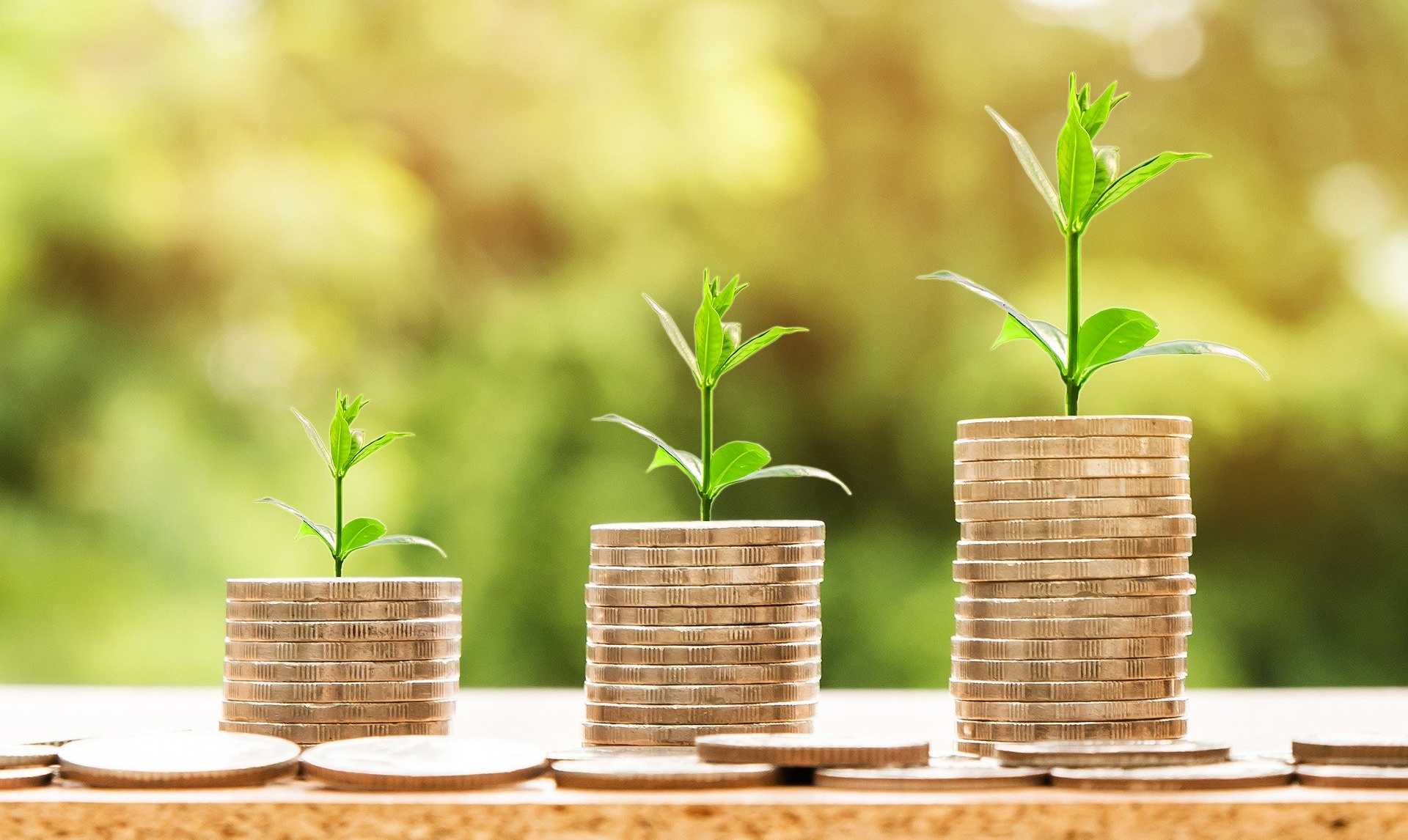 Money and Savings Are Not the Same Thing - Vimarsana News