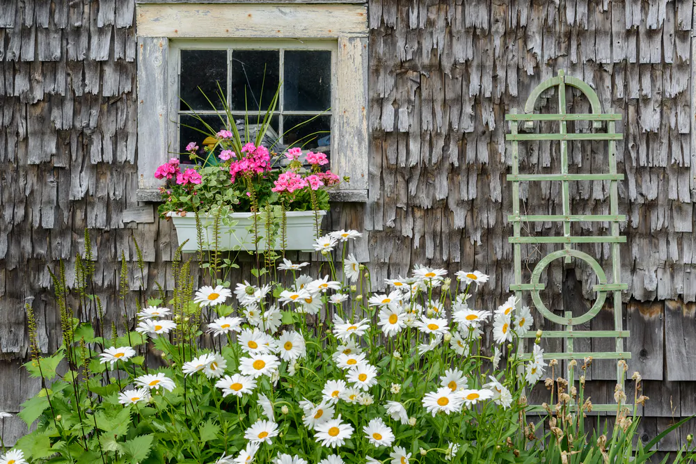 Flowers grace the side of a restored barn. (Jorge Moro/Shutterstock)