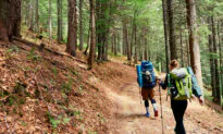 Injured Hiker Found by Dad and Kids Delirious and Skinny After 14 Days Stranded in Forest