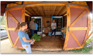 Farm Stands Are Making a Comeback—and They (Sometimes) Have Cookies