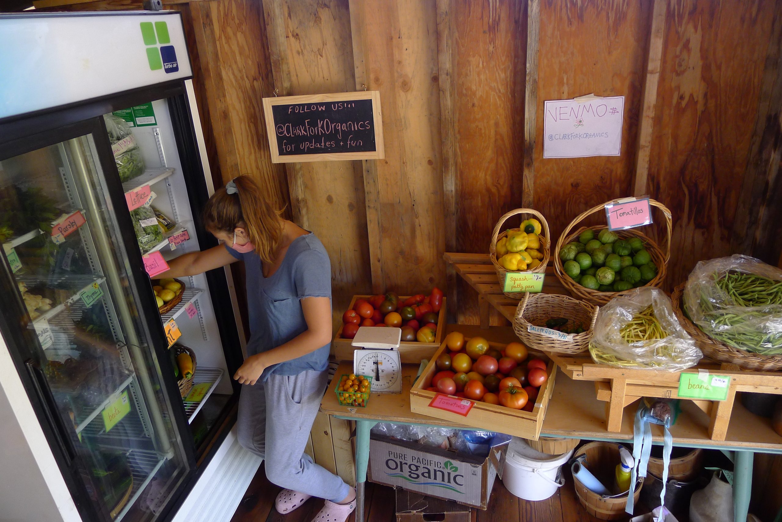 inside clark fork organics farm stand