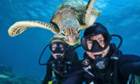 5 of the Funniest Animal Photobombs That Will Brighten Your Day