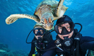 5 of the Funniest Animal Photobombs That Will Brighten Your Day