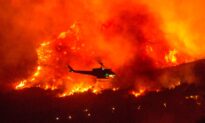 More Than 200 Airlifted to Safety From California Wildfire