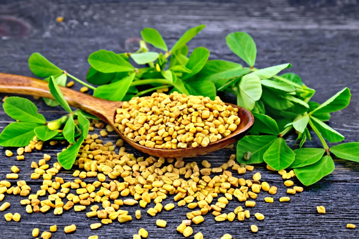 Consumption of fenugreek extract for two months decreased the blood sugar levels (kostrez/Shutterstock)